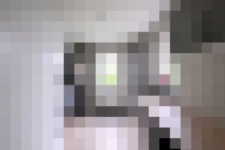 Dolskamp 2 Wijhe thumbnail 13