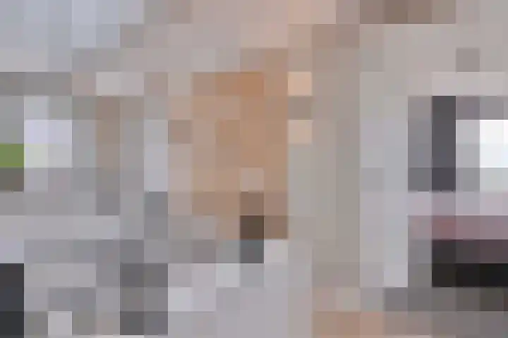 Dolskamp 2 Wijhe thumbnail 15