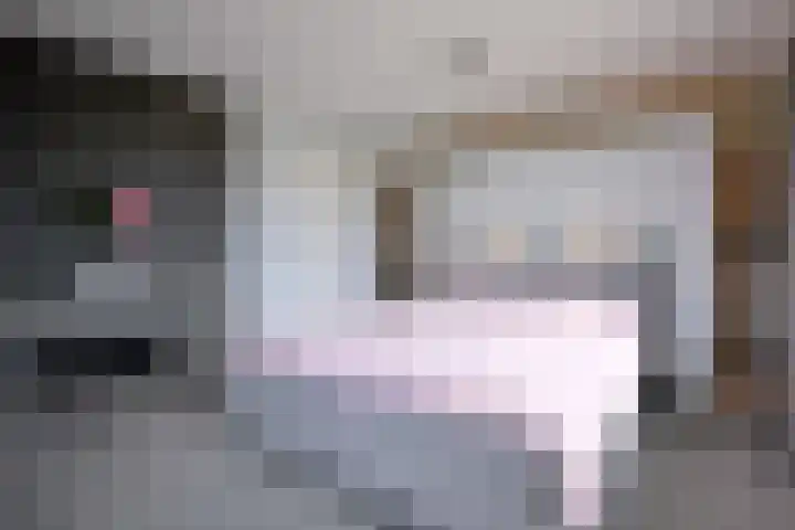Dolskamp 2 Wijhe thumbnail 17