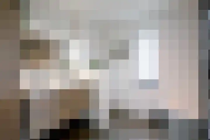 Dolskamp 2 Wijhe thumbnail 20