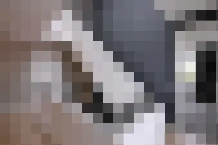 Dolskamp 2 Wijhe thumbnail 22