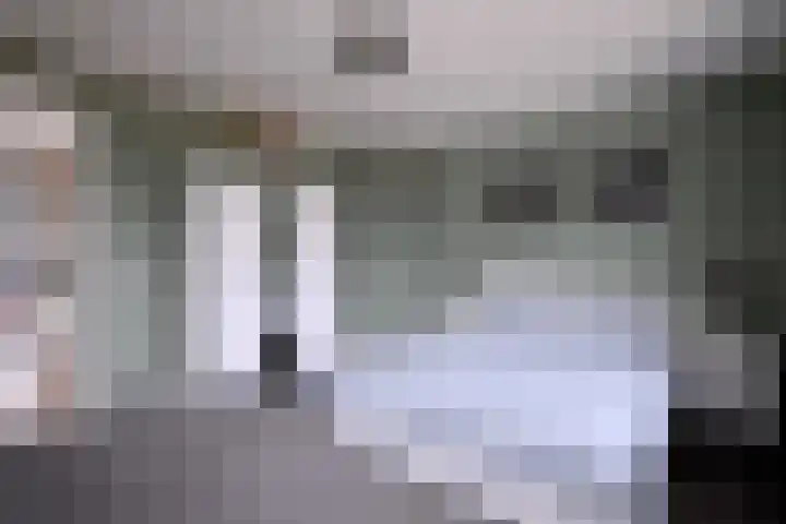 Dolskamp 2 Wijhe thumbnail 24