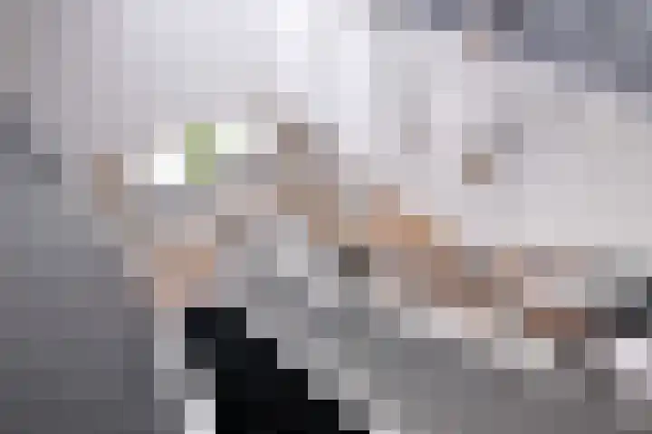 Dolskamp 2 Wijhe thumbnail 25