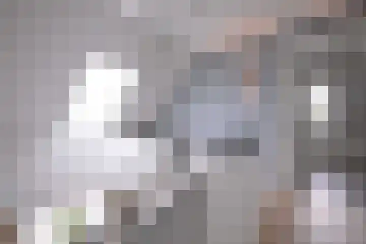 Dolskamp 2 Wijhe thumbnail 26