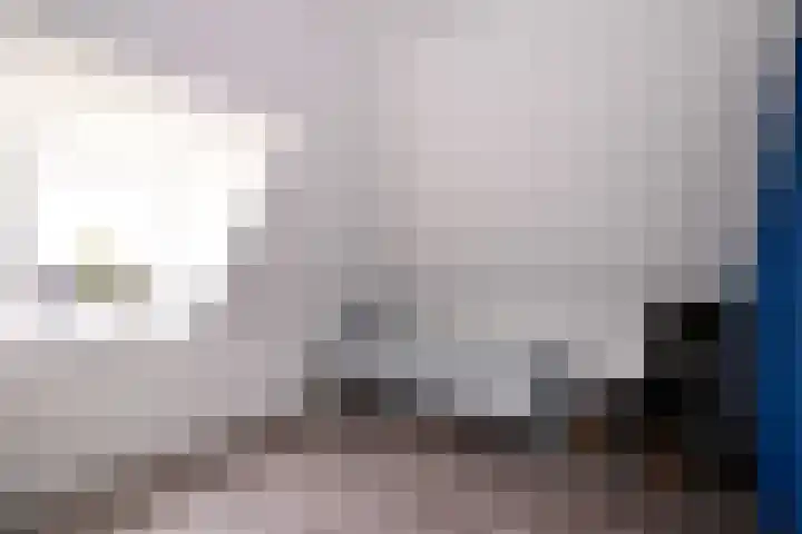 Dolskamp 2 Wijhe thumbnail 27
