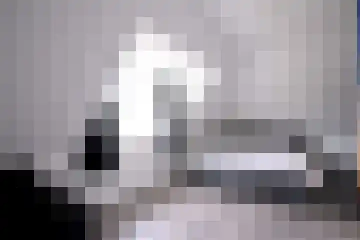 Dolskamp 2 Wijhe thumbnail 28