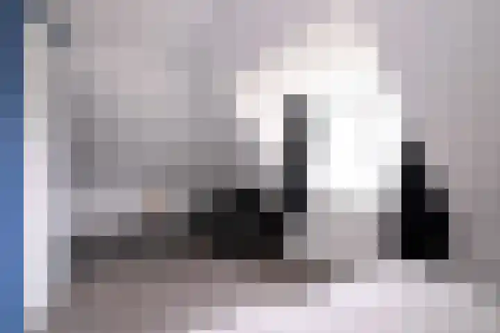 Dolskamp 2 Wijhe thumbnail 29