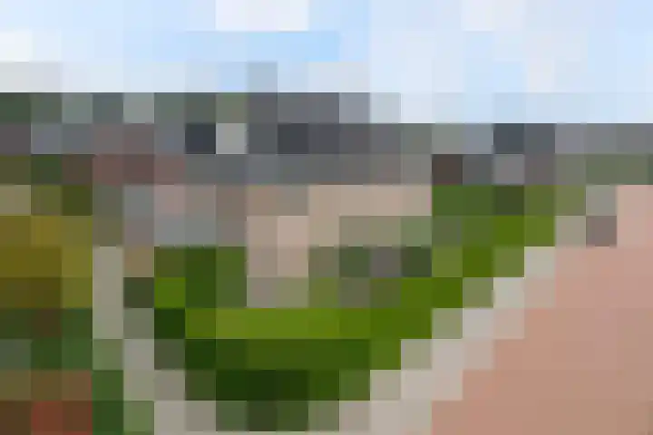 Dolskamp 2 Wijhe foto 3