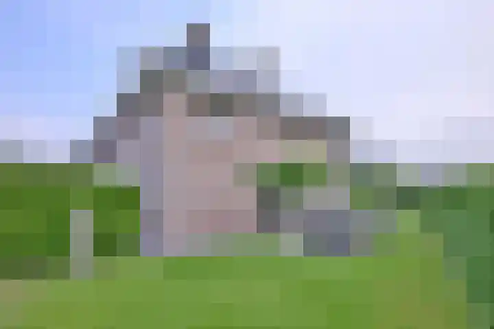 Dolskamp 2 Wijhe thumbnail 33
