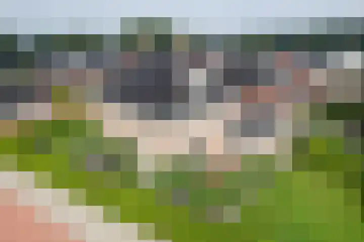 Dolskamp 2 Wijhe thumbnail 34