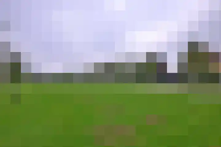 Dolskamp 2 Wijhe thumbnail 35