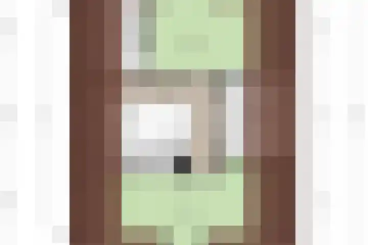 Dolskamp 2 Wijhe thumbnail 39