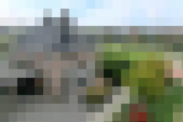 Dolskamp 2 Wijhe thumbnail 4