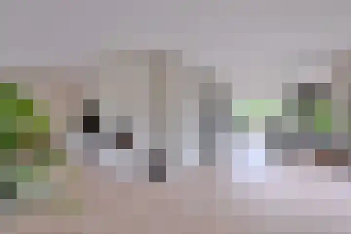 Dolskamp 2 Wijhe thumbnail 5