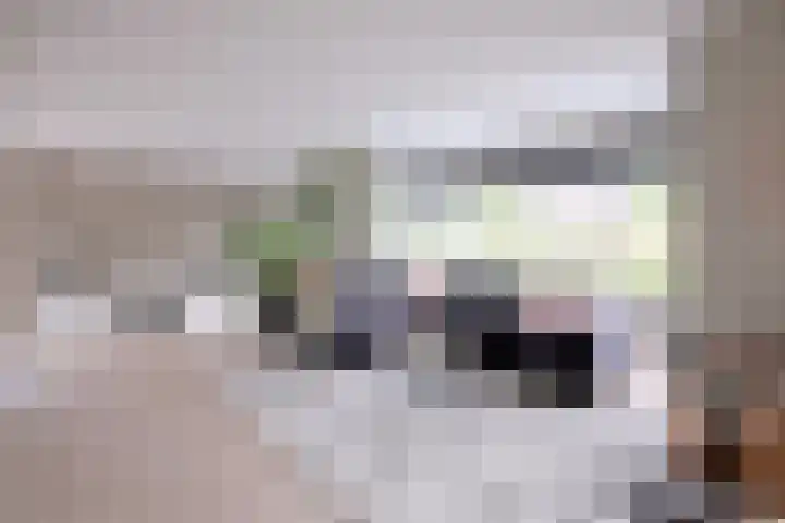 Dolskamp 2 Wijhe thumbnail 6
