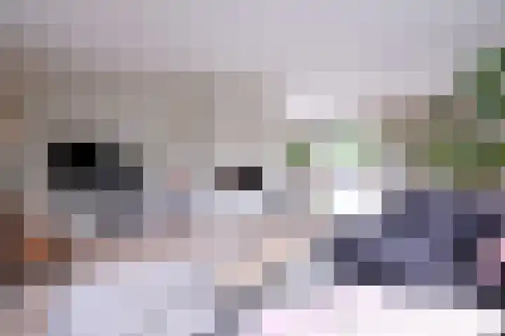Dolskamp 2 Wijhe thumbnail 7