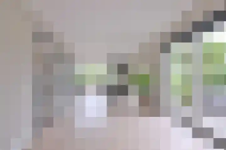 Dolskamp 2 Wijhe thumbnail 8