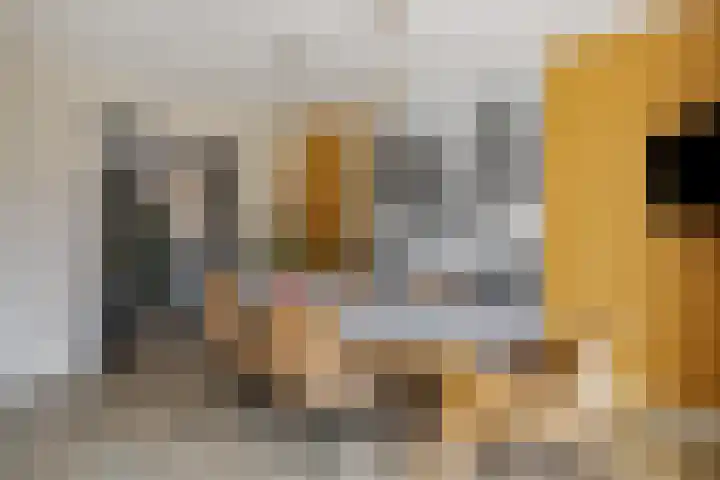 Dolskamp 34 Wijhe thumbnail 10