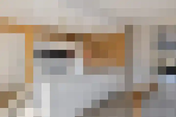 Dolskamp 34 Wijhe thumbnail 11