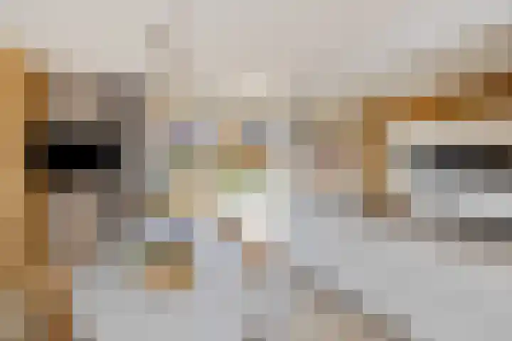 Dolskamp 34 Wijhe thumbnail 14