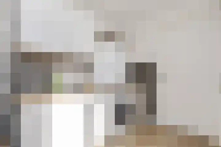Dolskamp 34 Wijhe thumbnail 15
