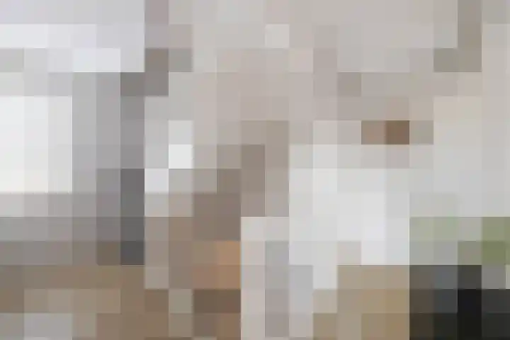 Dolskamp 34 Wijhe thumbnail 18