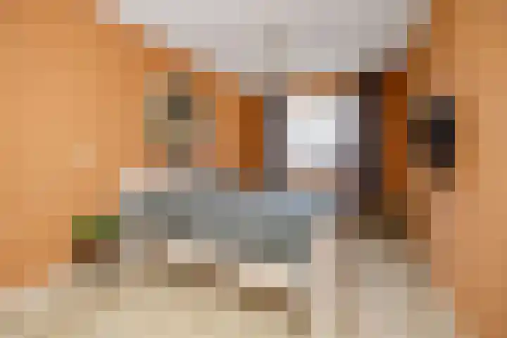 Dolskamp 34 Wijhe thumbnail 19