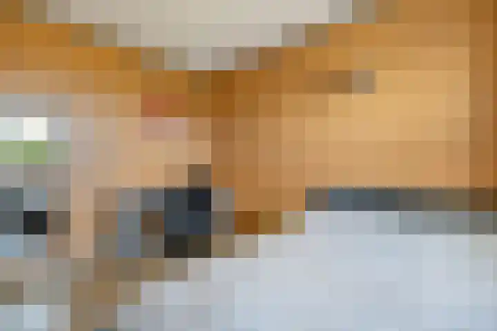 Dolskamp 34 Wijhe thumbnail 22