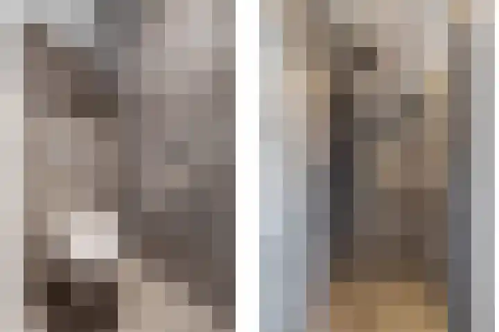 Dolskamp 34 Wijhe thumbnail 26