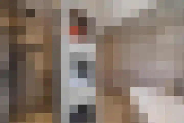 Dolskamp 34 Wijhe thumbnail 27