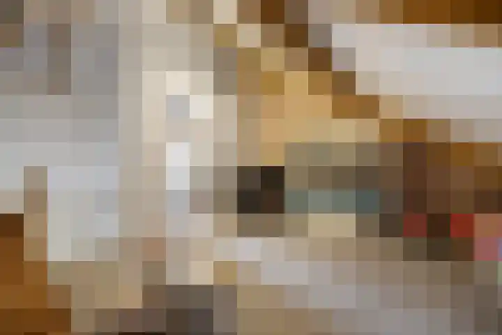 Dolskamp 34 Wijhe thumbnail 30