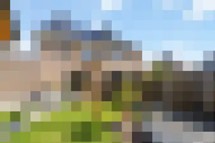 Dolskamp 34 Wijhe thumbnail 33