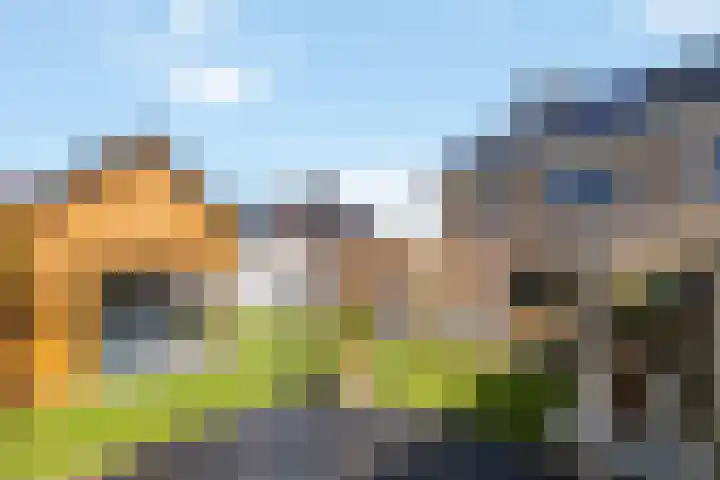 Dolskamp 34 Wijhe thumbnail 34