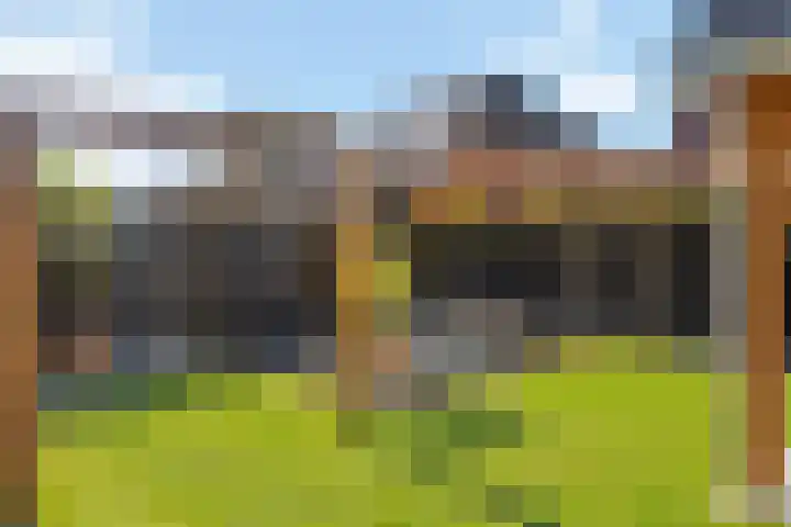 Dolskamp 34 Wijhe thumbnail 35