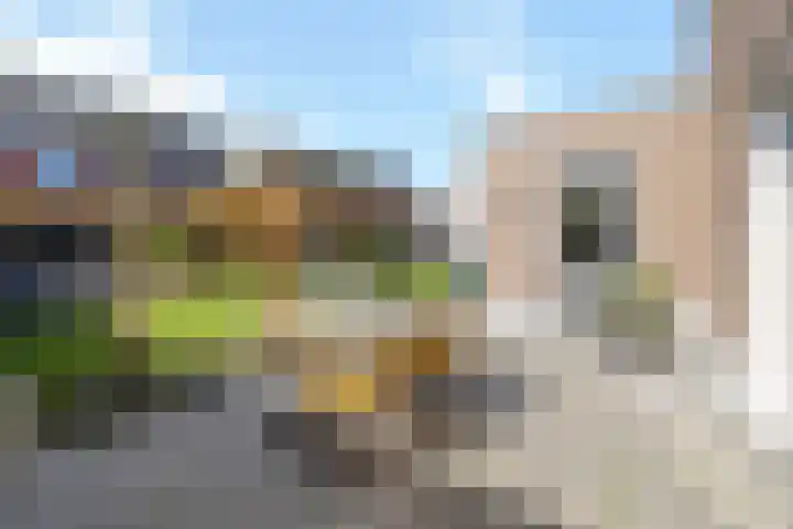 Dolskamp 34 Wijhe thumbnail 40