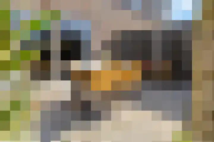 Dolskamp 34 Wijhe thumbnail 41