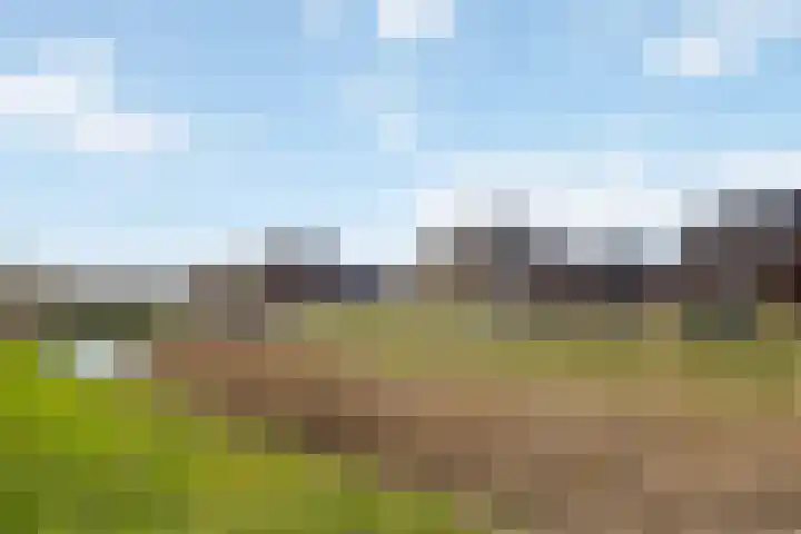 Dolskamp 34 Wijhe thumbnail 44