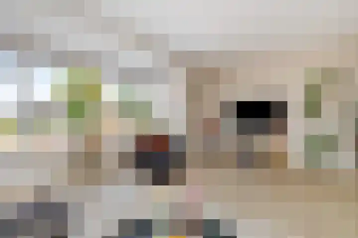 Dolskamp 34 Wijhe thumbnail 5