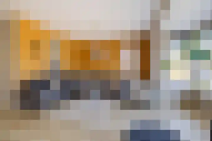 Dolskamp 34 Wijhe thumbnail 6