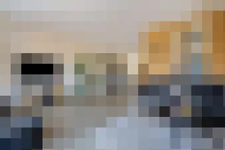 Dolskamp 34 Wijhe thumbnail 7