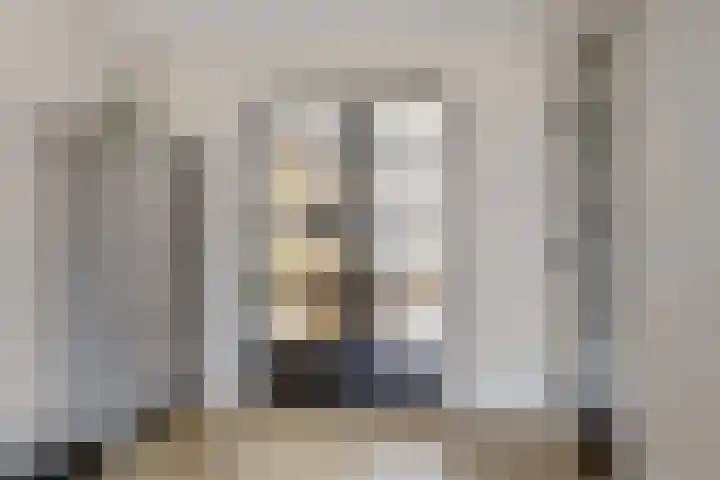 Dolskamp 34 Wijhe thumbnail 8