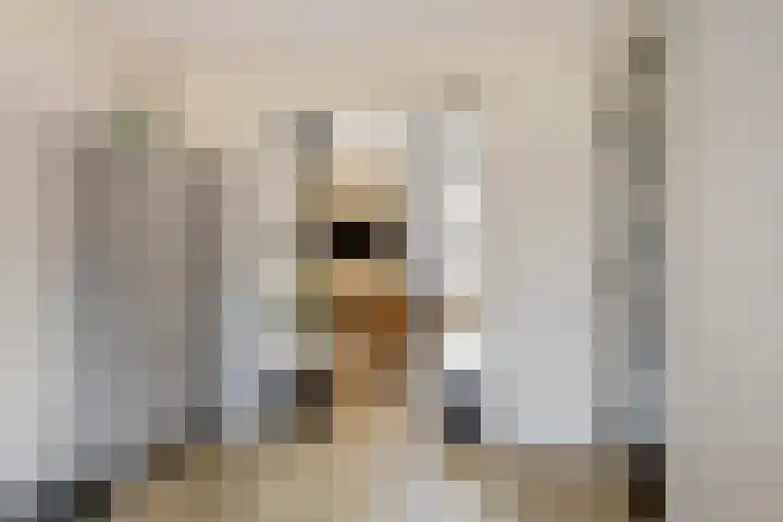 Dolskamp 34 Wijhe thumbnail 9