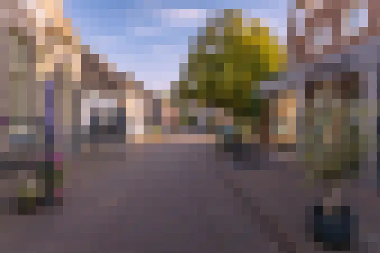 Dolskamp Wijhe thumbnail 10
