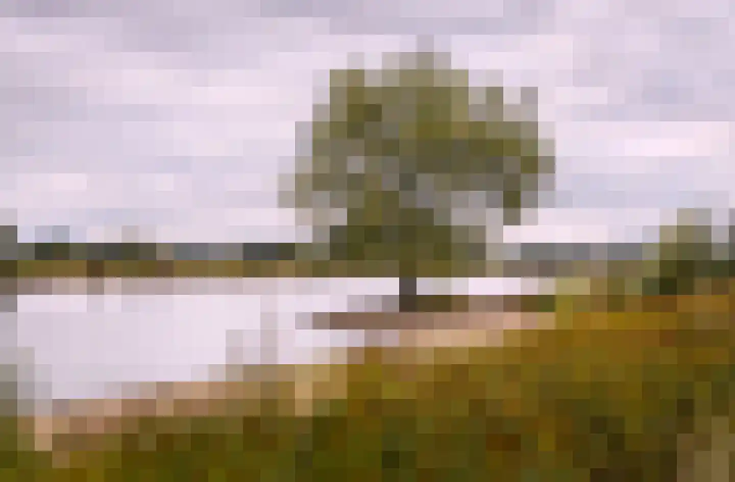 Dolskamp Wijhe thumbnail 11