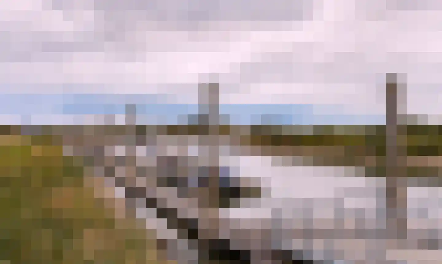 Dolskamp Wijhe thumbnail 13