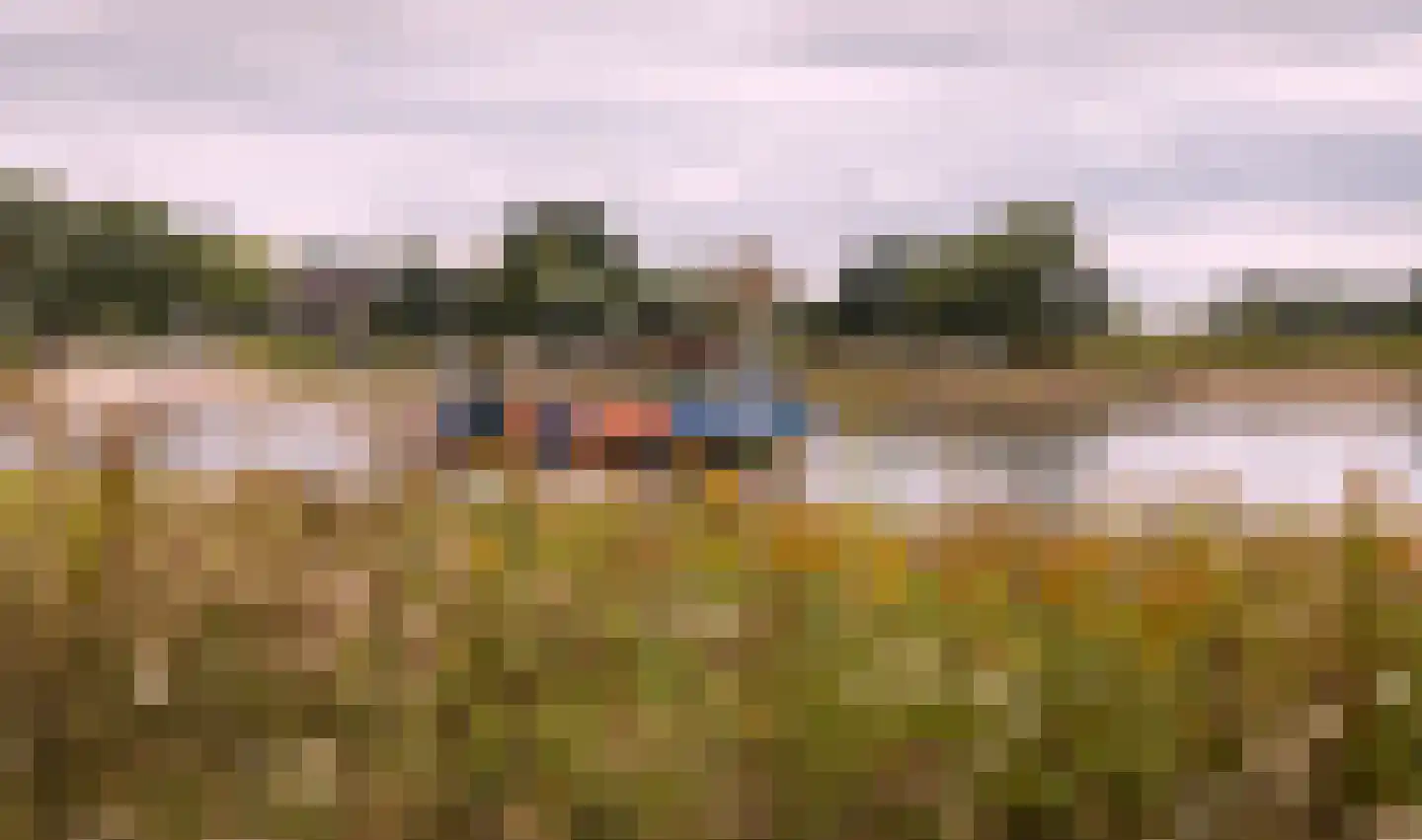 Dolskamp Wijhe thumbnail 14