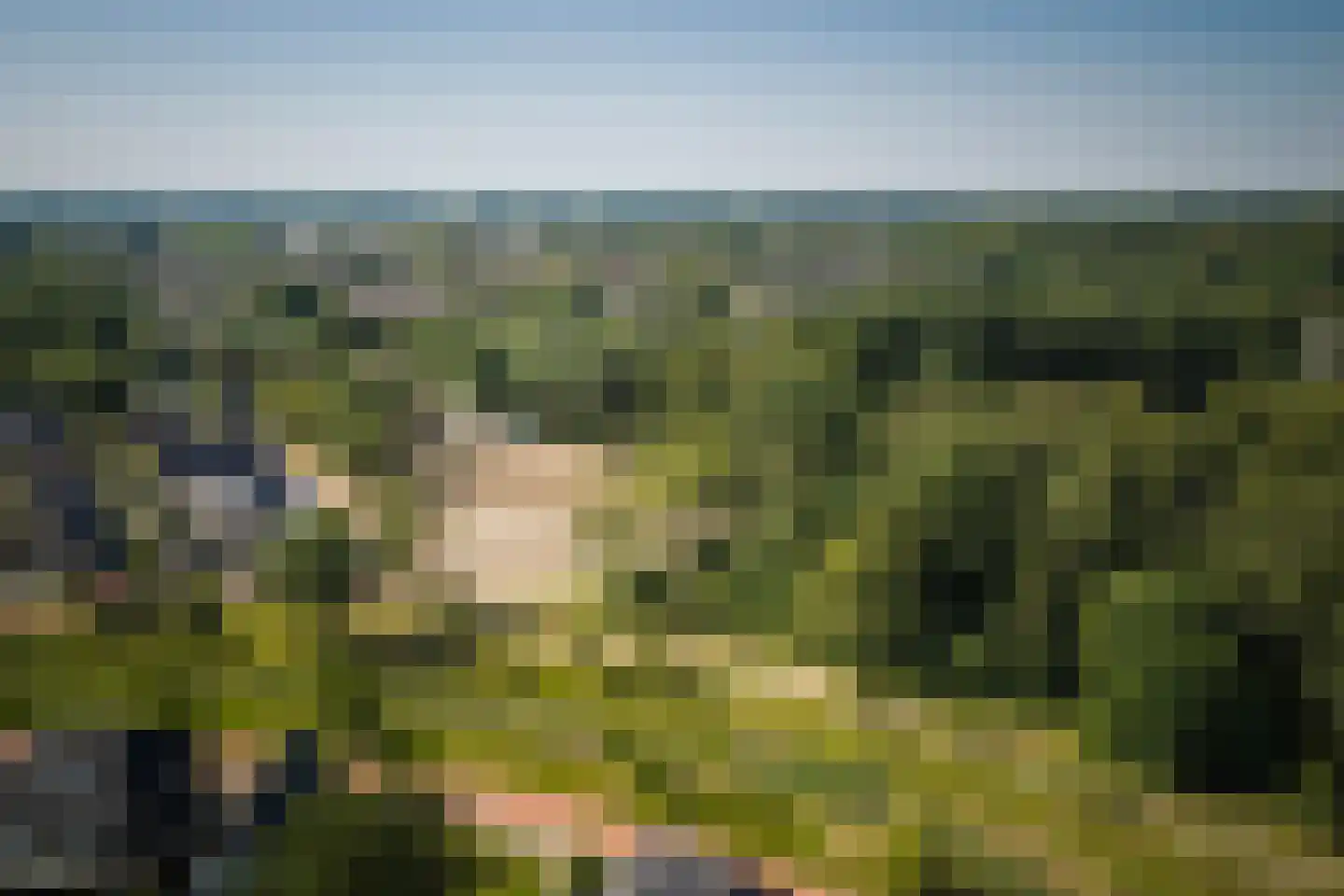Dolskamp Wijhe thumbnail 4