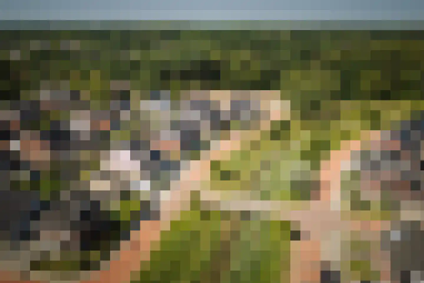 Dolskamp Wijhe thumbnail 5