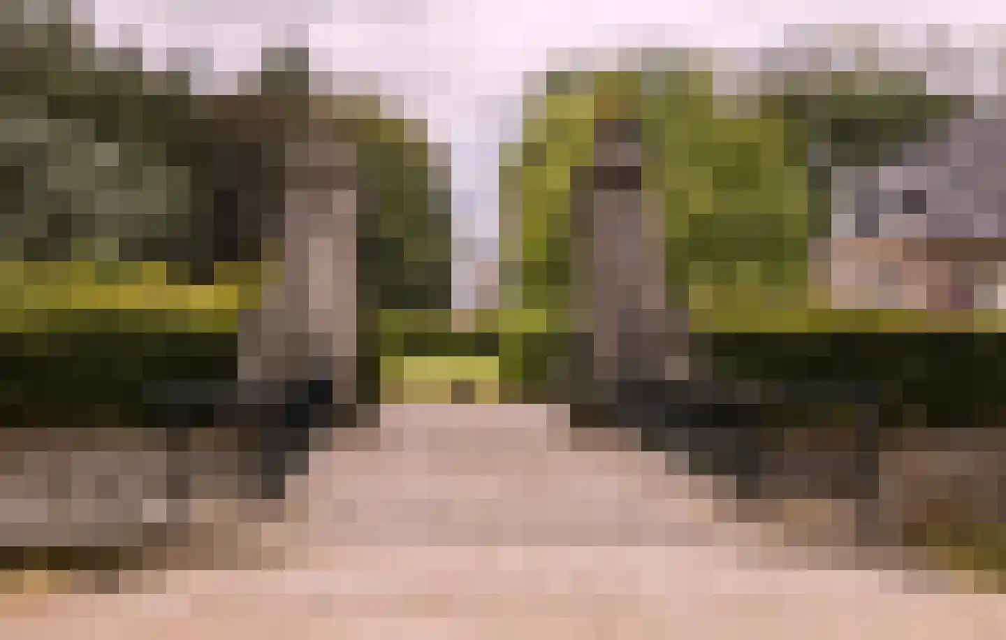Dolskamp Wijhe thumbnail 7