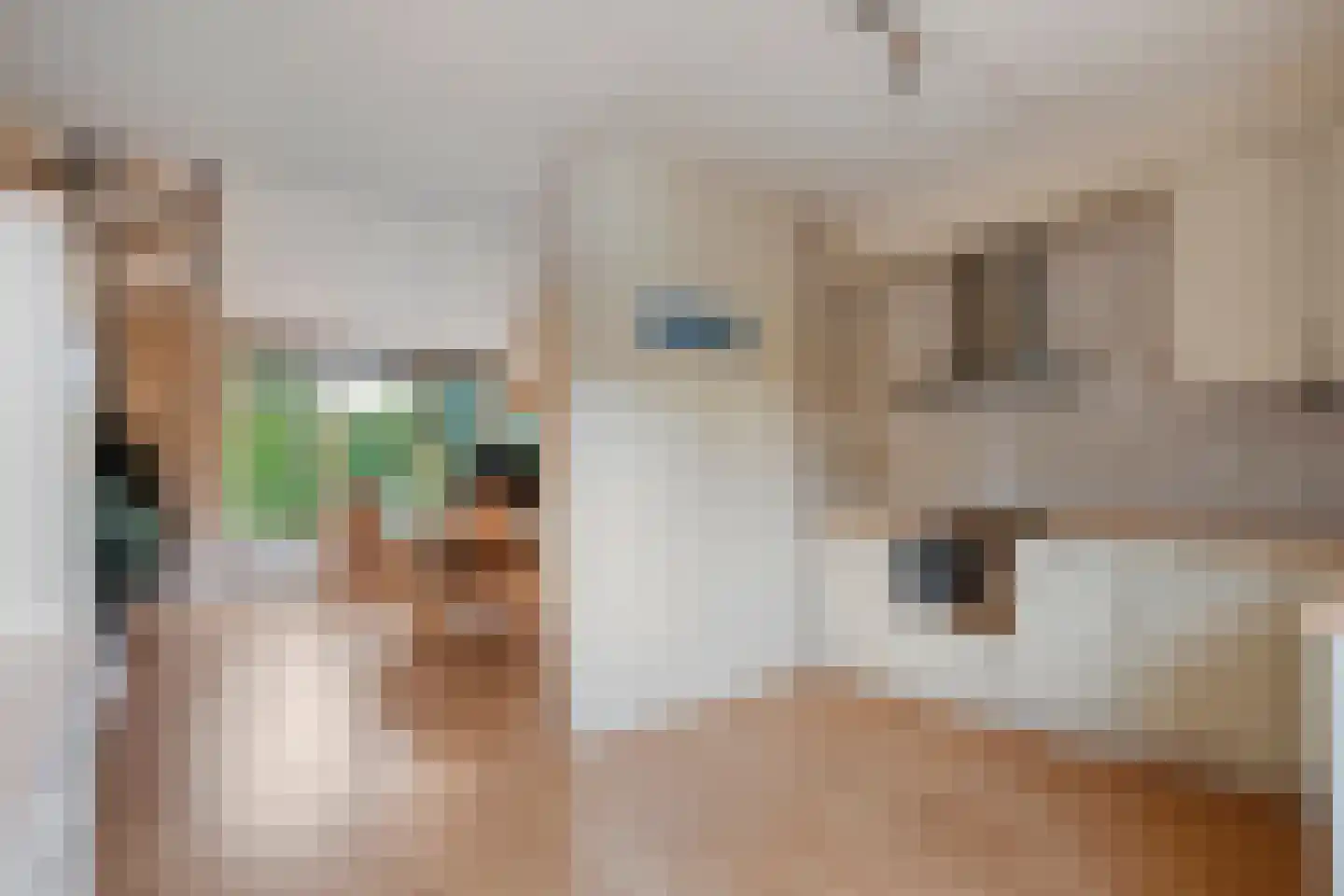 Dolte 20 Zwolle thumbnail 15